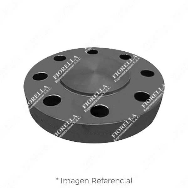 BRIDA CIEGA (BLIND) ACERO ASTM A105 CLASE 900 RF (RAISED FACE) ANSI B16.5