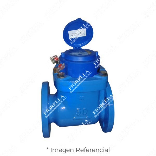 MEDIDOR DE CAUDAL DE AGUA BRIDADO MOD. 6060A